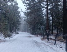 Imagen de archivo del Parque Nacional Sierra de San Pedro Mártir, Baja California. FACEBOOK / Protección Civil Baja California