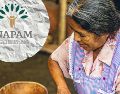 Toda persona de 60 años en adelante puede solicitar su credencial del Inapam para acceder a su programa de descuentos. ESPECIAL / Inapam y CANVA