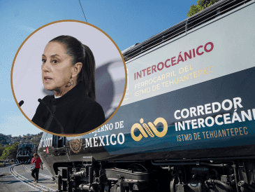 Sheinbaum dijo que servidores de la nación pertenecientes a distintas corporaciones se encuentran auxuliando a las y los usuarios afectados. EFE / L. Villalobos / ARCHIVO