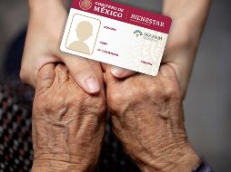 El portal del Inapam dice que con la Vinculación Productiva se busca la promoción de empleos, así como actividades voluntarias que generen un ingreso para las personas adultas mayores. ESPECIAL / CANVA