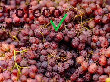 Este es el establecimiento que ofrece el precio más bajo para el kilo de uva en Guadalajara. ESPECIAL / UNSPLASH Jason Leung