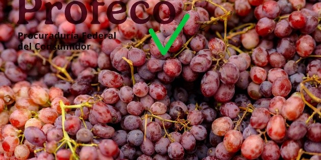 Profeco recomienda este lugar de Guadalajara para comprar las uvas de A&ntilde;o Nuevo