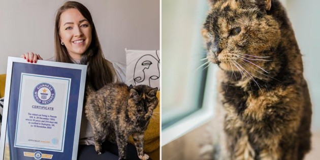 Flossie, la gata m&aacute;s longeva del mundo cumple 30 a&ntilde;os de edad