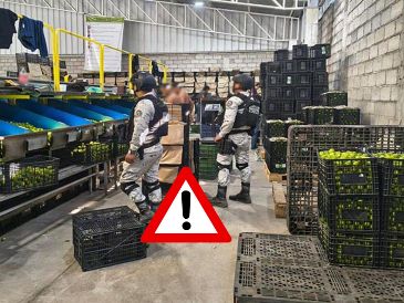 Se realizan recorridos a empacadoras e industrias cítricas, en los distintos municipios. ESPECIAL