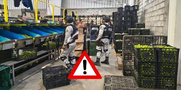 Plan Michoac&aacute;n: Suman 278 detenidos en 50 d&iacute;as de acciones