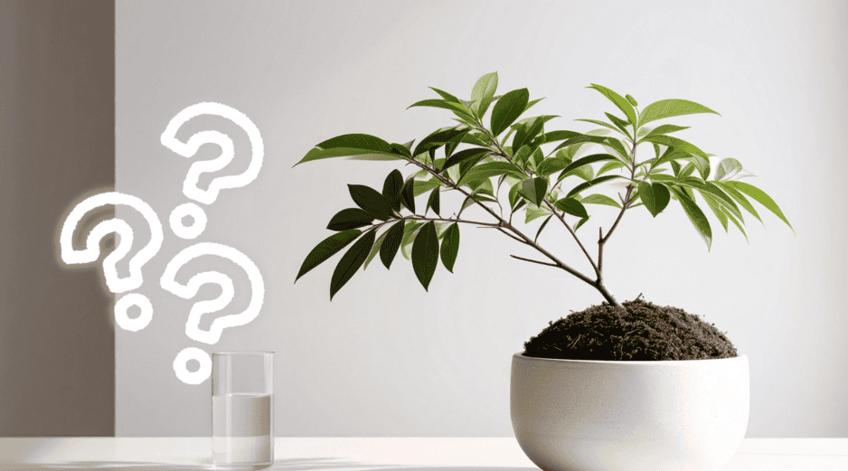 Por su tamaño, resistencia y capacidad de producir frutos sin grandes exigencias, el granado se ha convertido en uno de los árboles más recomendados para jardines pequeños y proyectos de jardinería sostenible. CANVA