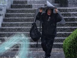 Pronóstico de lluvias y de temperaturas mínimas para hoy 01 de enero de 2026. SUN / ARCHIVO