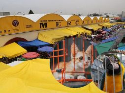 La disposición representa un cambio histórico en uno de los mercados más emblemáticos de la capital. ESPECIAL