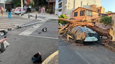 Estas son las afectaciones que se han presentado hasta el momento en la Ciudad de México tras el sismo de Guerrero. ESPECIAL / FACEBOOK Clara Brugada