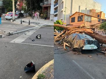 Estas son las afectaciones que se han presentado hasta el momento en la Ciudad de México tras el sismo de Guerrero. ESPECIAL / FACEBOOK Clara Brugada