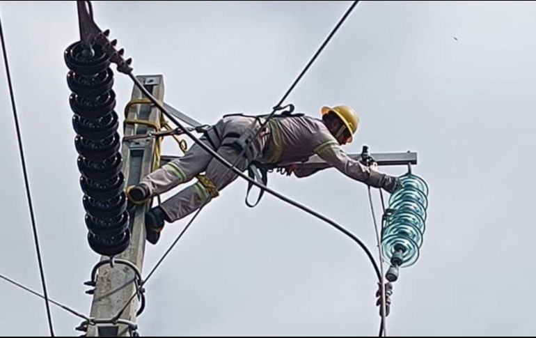 Los trabajos continúan hasta lograr el 100% del restablecimiento, aseguró la empresa. X/@CFEmx