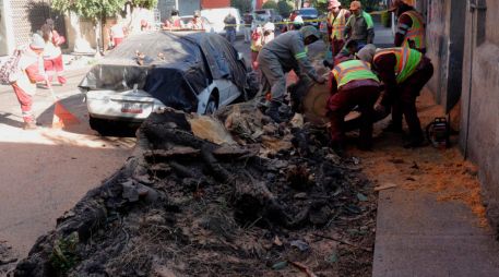 El Ejército y la Marina mantienen activos los planes DN-III-E y Marina, respectivamente, para atender a la población afectada. EFE