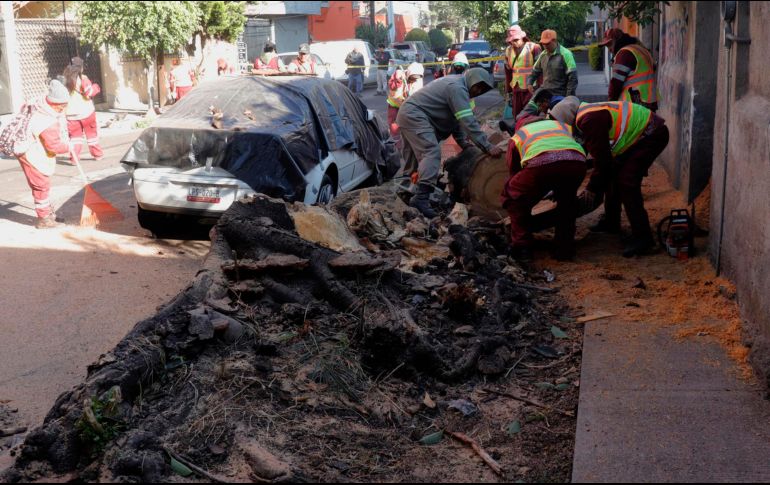 El Ejército y la Marina mantienen activos los planes DN-III-E y Marina, respectivamente, para atender a la población afectada. EFE