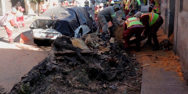 El sismo de este 2 de enero deja afectaciones en al menos 24 municipios de Guerrero