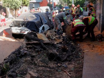 El Ejército y la Marina mantienen activos los planes DN-III-E y Marina, respectivamente, para atender a la población afectada. EFE