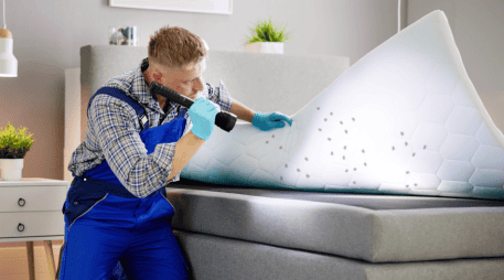 Evitar estos errores comunes puede marcar la diferencia entre una solución temporal y la eliminación definitiva de la infestación. CANVA