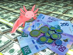 Hoy, la mejor opción en la compra del dólar —en este momento de la mañana, a las 07:40 horas— es en Banamex; y la venta, en Banorte. ESPECIAL / CANVA / SUN / ARCHIVO