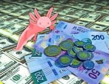 Hoy, la mejor opción en la compra del dólar —en este momento de la mañana, a las 07:40 horas— es en Banamex; y la venta, en Banorte. ESPECIAL / CANVA / SUN / ARCHIVO