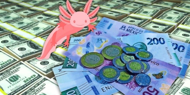 D&oacute;lar HOY: Crisis en Venezuela contagia al peso mexicano en su cotizaci&oacute;n frente al billete verde