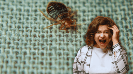 Eliminar y prevenir la infestación de chinches requiere estrategias efectivas y un enfoque integral. ESPECIAL / CANVA