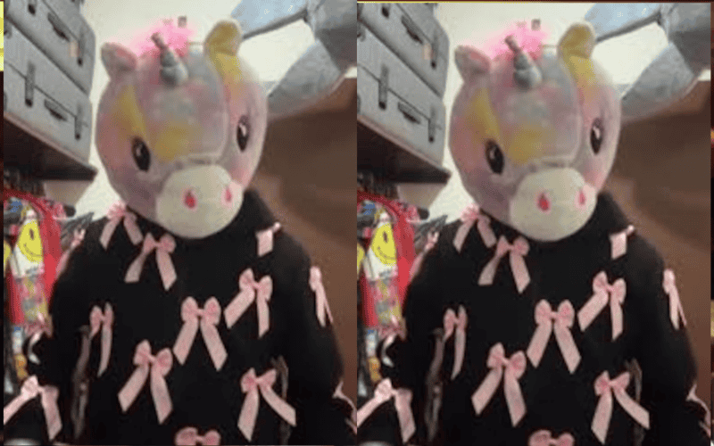 &nbsp;INSTAGRAM/momoguzmann