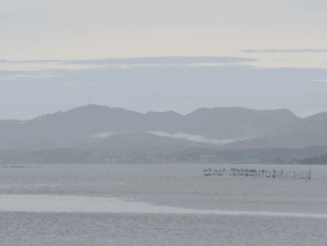 El terremoto estuvo seguido de una serie de réplicas localizadas en la misma zona, la mayor de ellas de magnitud 5,1 a las 10:28 hora local (1:28 GMT).  EFE / E. KENNEDY