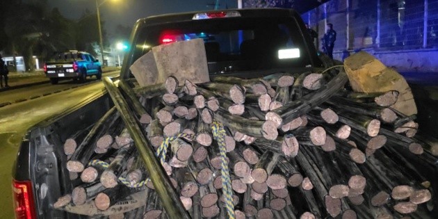 Seguridad en Jalisco: Detienen a ladrones de cables en la colonia Miravalle en Guadalajara