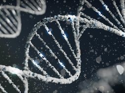 Descubre una de las enfermedades genéticas más graves que existen. UNSPLASH / S. LOHAKARE