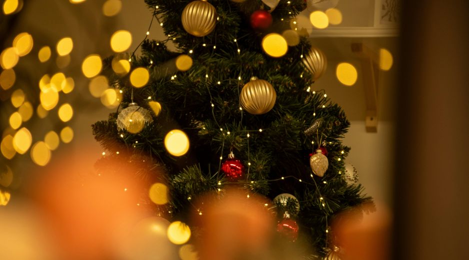 Zapopan ha registrado un promedio de dos mil 500 árboles navideños acopiados anualmente. Unsplash