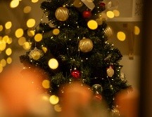 Zapopan ha registrado un promedio de dos mil 500 árboles navideños acopiados anualmente. Unsplash