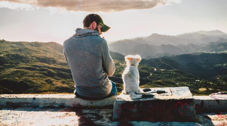 Los estudios reflejan que los perros reaccionan más a las voces de sus dueños. UNSPLASH / X. GRIFFIN