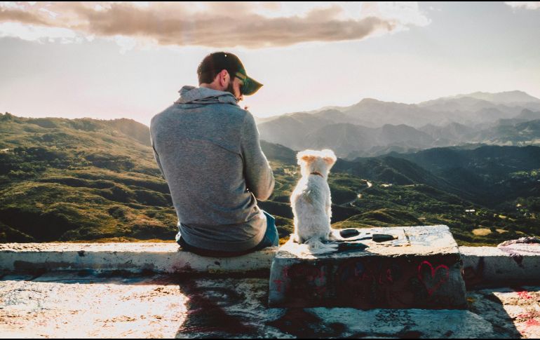 Los estudios reflejan que los perros reaccionan más a las voces de sus dueños. UNSPLASH / X. GRIFFIN