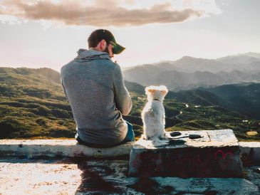Los estudios reflejan que los perros reaccionan más a las voces de sus dueños. UNSPLASH / X. GRIFFIN