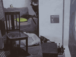 En un contexto atravesado por certezas rígidas y discursos polarizados, “Las cosas cuando nadie las ve” sugiere aceptar la existencia de otras formas de ver y de habitar el mundo. ESPECIAL/SC