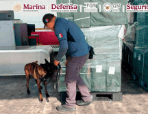 La SSPC explicó que la detección fue resultado del trabajo coordinado entre la Secretaría de Marina (Semar) y autoridades aduanales, así como del intercambio de información con autoridades japonesas. ESPECIAL