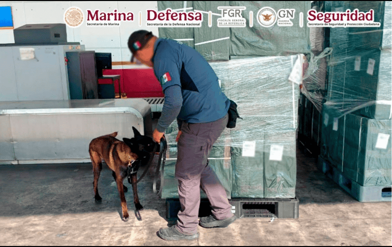 La SSPC explicó que la detección fue resultado del trabajo coordinado entre la Secretaría de Marina (Semar) y autoridades aduanales, así como del intercambio de información con autoridades japonesas. ESPECIAL