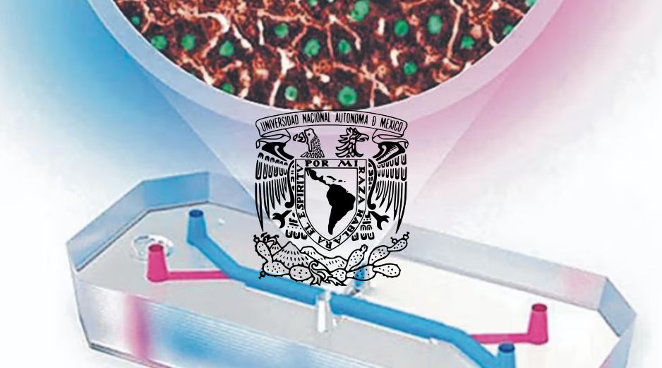 A través de un comunicado, la UNAM informó que tiene que haber un diseño previo, una simulación en computadora para después crear el molde con el que se hacen los dispositivos. ESPECIAL / UNAM