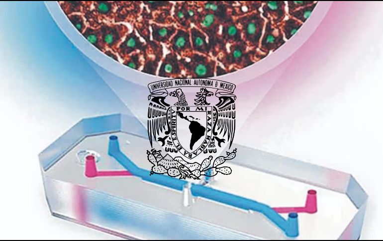A través de un comunicado, la UNAM informó que tiene que haber un diseño previo, una simulación en computadora para después crear el molde con el que se hacen los dispositivos. ESPECIAL / UNAM