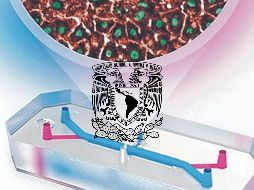 A través de un comunicado, la UNAM informó que tiene que haber un diseño previo, una simulación en computadora para después crear el molde con el que se hacen los dispositivos. ESPECIAL / UNAM