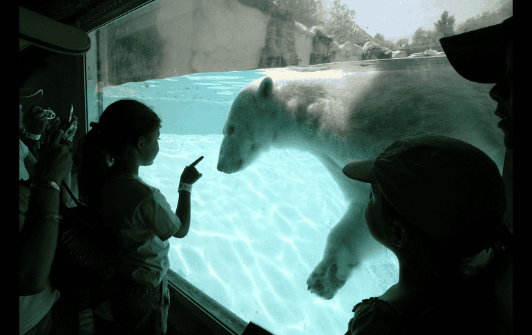 Foto del 5 de abril de 2007. EL INFORMADOR/ ARCHIVO