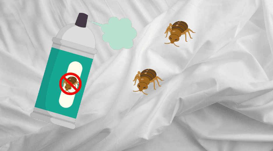 Si al aplicar el insecticida las chinches no desaparecen semanas despues, tendrás que acudir a un experto en control de plagas. CANVA