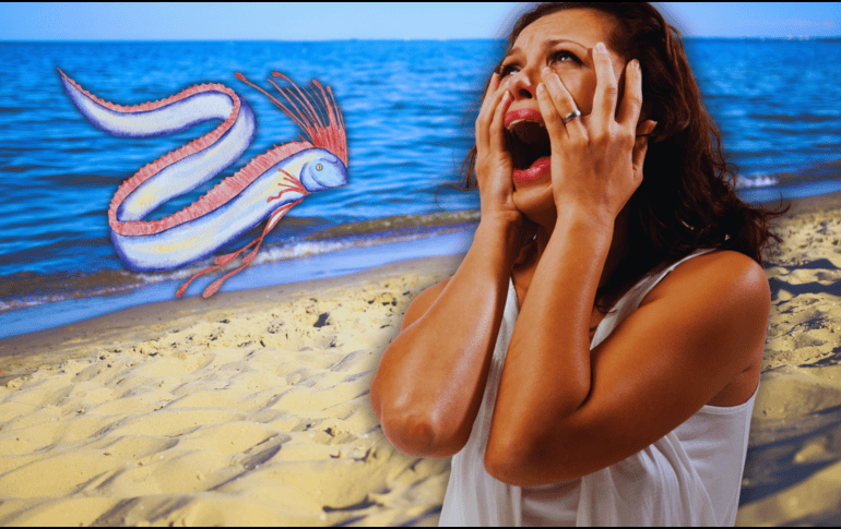 La rareza del pez y su aparición esporádica refuerzan la percepción de que se trata de una señal extraordinaria. ESPECIAL / CANVA