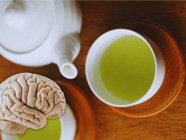 Para confirmar los beneficios del té verde sobre la salud cerebral en distintas poblaciones, será necesario profundizar con grupos más diversos. ESPECIAL / CANVA