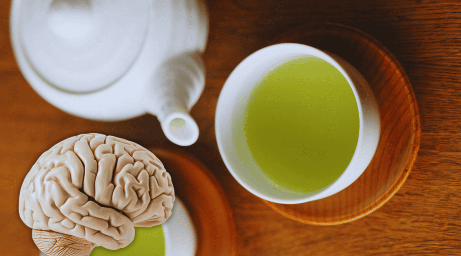 Para confirmar los beneficios del té verde sobre la salud cerebral en distintas poblaciones, será necesario profundizar con grupos más diversos. ESPECIAL / CANVA