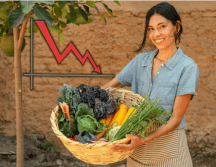 Los productores agrícolas en México verán agravada su situación, ante el hecho de que se hundirán los precios del grano. UNPLASH/CANVA/ESPECIAL