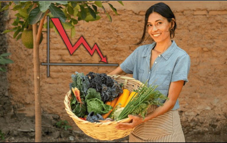 Los productores agrícolas en México verán agravada su situación, ante el hecho de que se hundirán los precios del grano. UNPLASH/CANVA/ESPECIAL