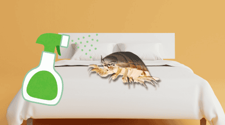 Las chinches pueden reproducirse durante semanas o incluso meses sin ser detectadas. UNSPLASH / P. HUANG / UNSPLASH / Z. FIRM