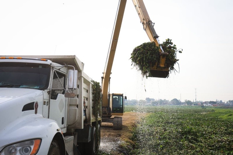 Las labores tendrán una duración aproximada de cuatro meses y comenzarán con el retiro de maleza acuática. EL INFORMADOR / J. ACOSTA&nbsp;&nbsp;
