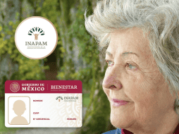 La tarjeta INAPAM se ha convertido en una herramienta clave para que personas adultas mayores accedan a distintos apoyos en Estado de México y todo el país. PIXABAY/ESPECIAL