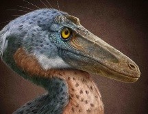 El nombre Xenovenator espinosai hace referencia a su carácter inusual (